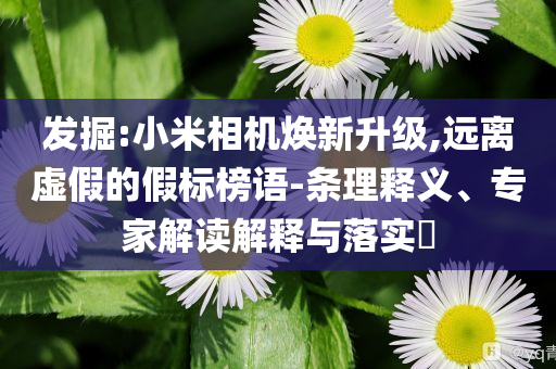 發(fā)掘:小米相機(jī)煥新升級(jí),遠(yuǎn)離虛假的假標(biāo)榜語(yǔ)-條理釋義、專家解讀解釋與落實(shí)?