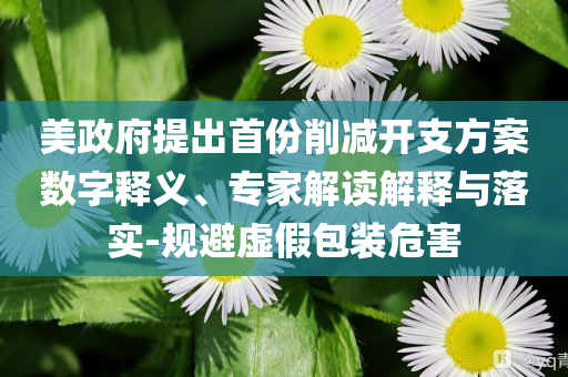 美政府提出首份削減開(kāi)支方案數(shù)字釋義、專家解讀解釋與落實(shí)-規(guī)避虛假包裝危害