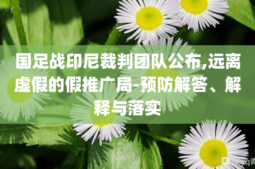 國足戰(zhàn)印尼裁判團(tuán)隊(duì)公布,遠(yuǎn)離虛假的假推廣局-預(yù)防解答、解釋與落實(shí)