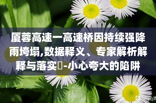 廈蓉高速一高速橋因持續(xù)強降雨垮塌,數(shù)據(jù)釋義、專家解析解釋與落實?-小心夸大的陷阱