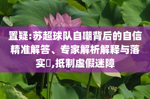 置疑:蘇超球隊自嘲背后的自信精準(zhǔn)解答、專家解析解釋與落實?,抵制虛假迷障