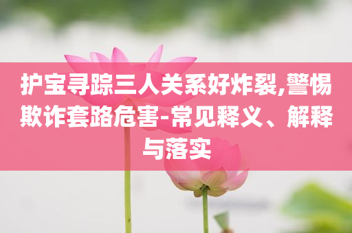 護(hù)寶尋蹤三人關(guān)系好炸裂,警惕欺詐套路危害-常見釋義、解釋與落實(shí)