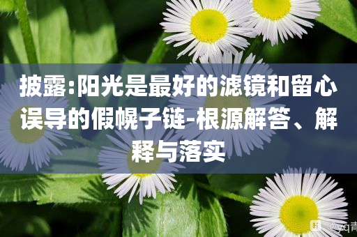 披露:陽光是最好的濾鏡和留心誤導(dǎo)的假幌子鏈-根源解答、解釋與落實(shí)