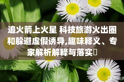追火箭上火星 科技旅游火出圈和躲避虛假誘導(dǎo),趣味釋義、專(zhuān)家解析解釋與落實(shí)?