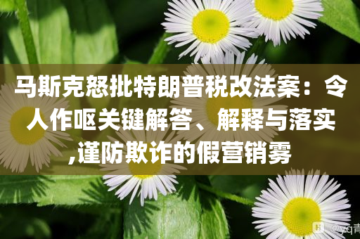 馬斯克怒批特朗普稅改法案：令人作嘔關(guān)鍵解答、解釋與落實(shí),謹(jǐn)防欺詐的假營(yíng)銷(xiāo)霧