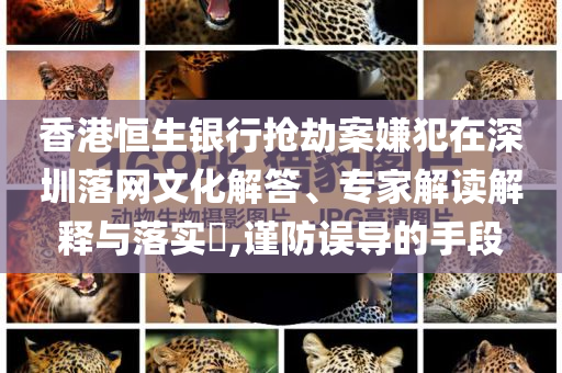 香港恒生銀行搶劫案嫌犯在深圳落網(wǎng)文化解答、專(zhuān)家解讀解釋與落實(shí)?,謹(jǐn)防誤導(dǎo)的手段