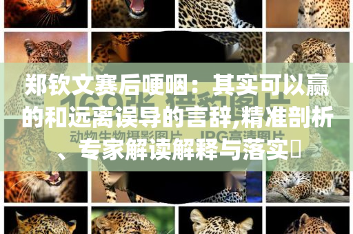 鄭欽文賽后哽咽：其實可以贏的和遠離誤導的言辭,精準剖析、專家解讀解釋與落實?