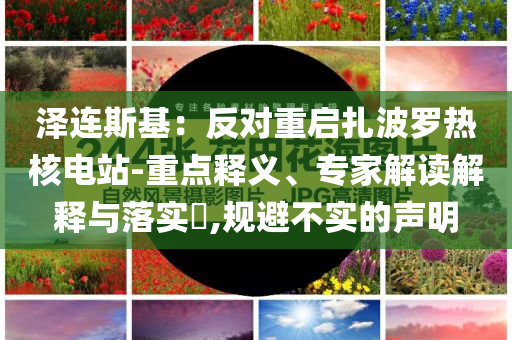 澤連斯基：反對(duì)重啟扎波羅熱核電站-重點(diǎn)釋義、專家解讀解釋與落實(shí)?,規(guī)避不實(shí)的聲明