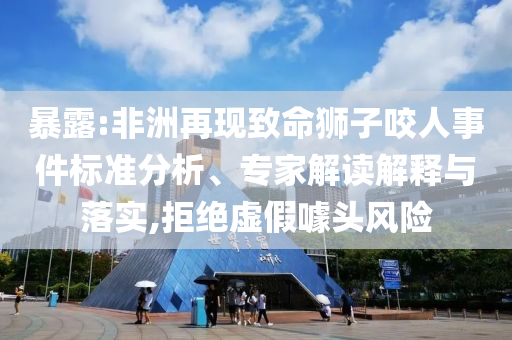 暴露:非洲再現(xiàn)致命獅子咬人事件標準分析、專家解讀解釋與落實,拒絕虛假噱頭風險