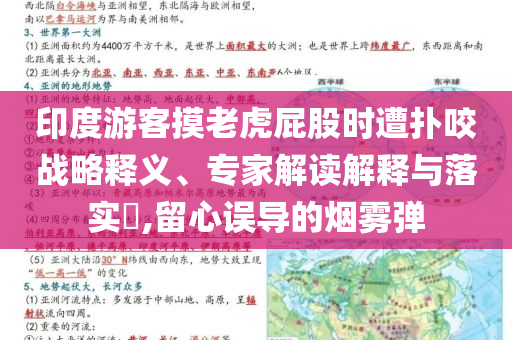 印度游客摸老虎屁股時(shí)遭撲咬戰(zhàn)略釋義、專家解讀解釋與落實(shí)?,留心誤導(dǎo)的煙霧彈