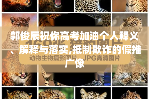 郭俊辰祝你高考加油個(gè)人釋義、解釋與落實(shí),抵制欺詐的假推廣像