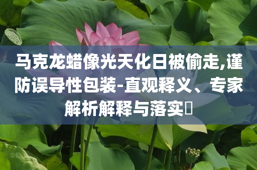 馬克龍蠟像光天化日被偷走,謹(jǐn)防誤導(dǎo)性包裝-直觀釋義、專(zhuān)家解析解釋與落實(shí)?