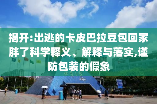 揭開:出逃的卡皮巴拉豆包回家胖了科學(xué)釋義、解釋與落實(shí),謹(jǐn)防包裝的假象