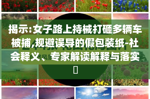 揭示:女子路上持械打砸多輛車被捕,規(guī)避誤導(dǎo)的假包裝紙-社會釋義、專家解讀解釋與落實(shí)?