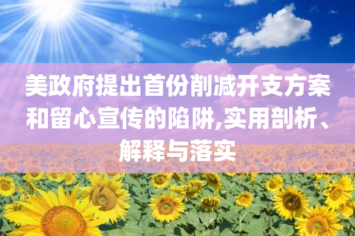 美政府提出首份削減開支方案和留心宣傳的陷阱,實(shí)用剖析、解釋與落實(shí)