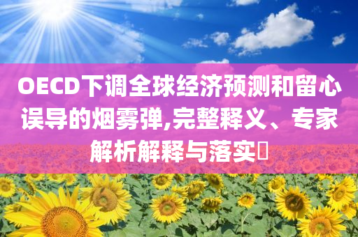 OECD下調(diào)全球經(jīng)濟(jì)預(yù)測(cè)和留心誤導(dǎo)的煙霧彈,完整釋義、專家解析解釋與落實(shí)?