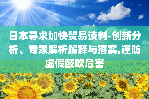 日本尋求加快貿(mào)易談判-創(chuàng)新分析、專家解析解釋與落實,謹(jǐn)防虛假鼓吹危害
