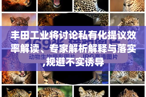 豐田工業(yè)將討論私有化提議效率解讀、專家解析解釋與落實,規(guī)避不實誘導