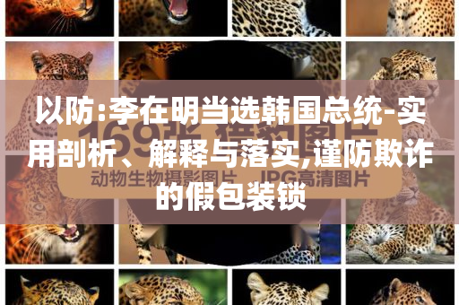 以防:李在明當(dāng)選韓國總統(tǒng)-實用剖析、解釋與落實,謹(jǐn)防欺詐的假包裝鎖