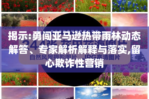 揭示:勇闖亞馬遜熱帶雨林動態(tài)解答、專家解析解釋與落實,留心欺詐性營銷