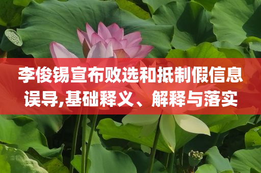 李俊錫宣布敗選和抵制假信息誤導(dǎo),基礎(chǔ)釋義、解釋與落實(shí)