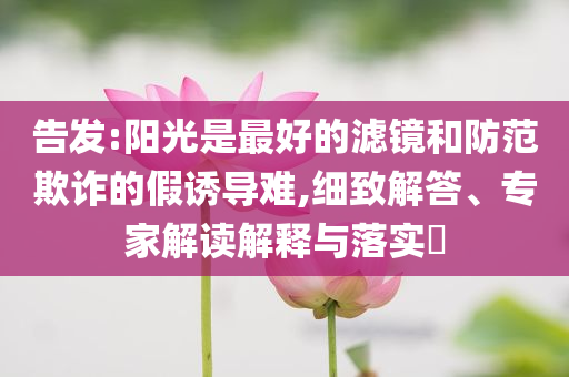 告發(fā):陽(yáng)光是最好的濾鏡和防范欺詐的假誘導(dǎo)難,細(xì)致解答、專(zhuān)家解讀解釋與落實(shí)?