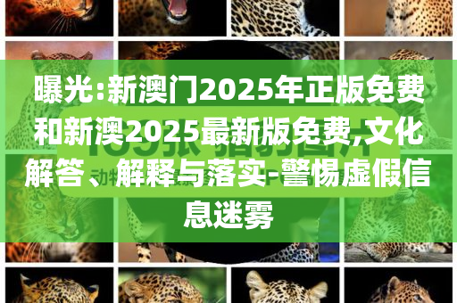 曝光:新澳門2025年正版免費(fèi)和新澳2025最新版免費(fèi),文化解答、解釋與落實(shí)-警惕虛假信息迷霧