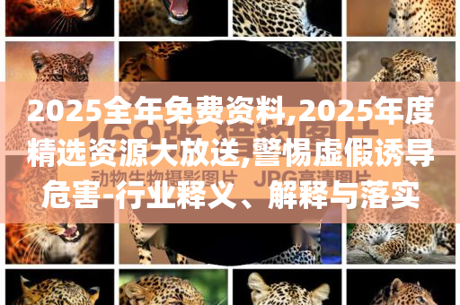2025全年免費(fèi)資料,2025年度精選資源大放送,警惕虛假誘導(dǎo)危害-行業(yè)釋義、解釋與落實(shí)