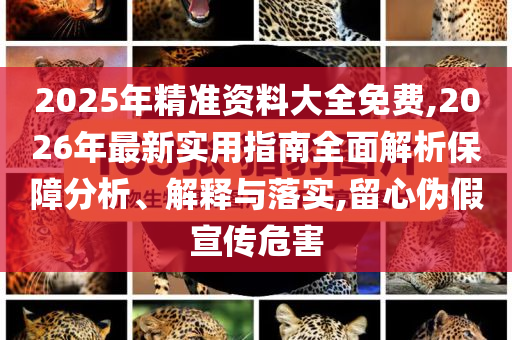 2025年精準(zhǔn)資料大全免費(fèi),2026年最新實(shí)用指南全面解析保障分析、解釋與落實(shí),留心偽假宣傳危害
