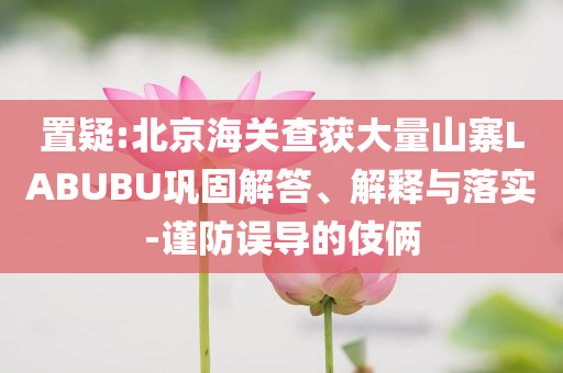 置疑:北京海關(guān)查獲大量山寨LABUBU鞏固解答、解釋與落實-謹防誤導的伎倆