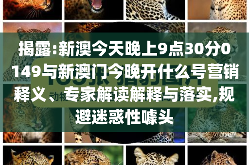 揭露:新澳今天晚上9點(diǎn)30分0149與新澳門(mén)今晚開(kāi)什么號(hào)營(yíng)銷(xiāo)釋義、專家解讀解釋與落實(shí),規(guī)避迷惑性噱頭