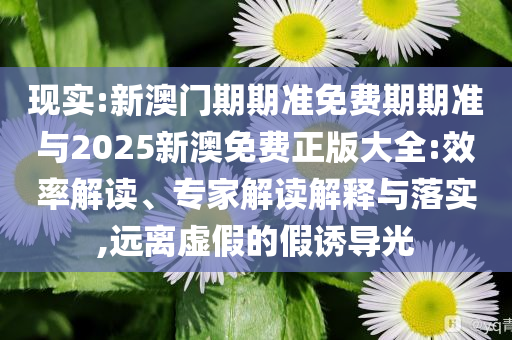 現(xiàn)實:新澳門期期準(zhǔn)免費期期準(zhǔn)與2025新澳免費正版大全:效率解讀、專家解讀解釋與落實,遠(yuǎn)離虛假的假誘導(dǎo)光