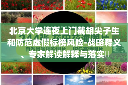 北京大學連夜上門截胡尖子生和防范虛假標榜風險-戰(zhàn)略釋義、專家解讀解釋與落實?