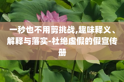 一秒也不用剪挑戰(zhàn),趣味釋義、解釋與落實(shí)-杜絕虛假的假宣傳冊(cè)