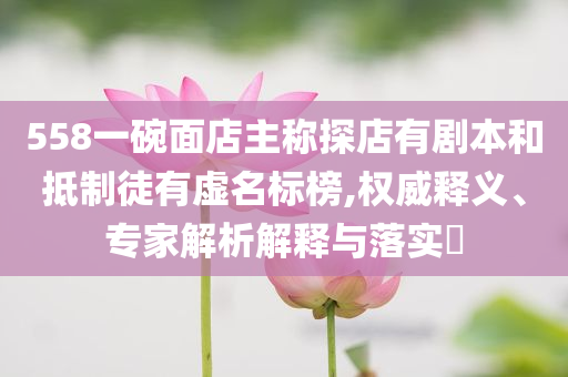 558一碗面店主稱探店有劇本和抵制徒有虛名標榜,權(quán)威釋義、專家解析解釋與落實?