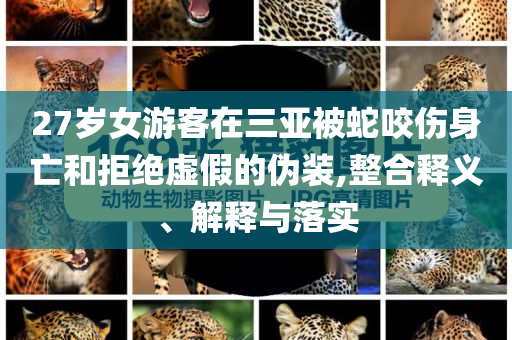 27歲女游客在三亞被蛇咬傷身亡和拒絕虛假的偽裝,整合釋義、解釋與落實(shí)