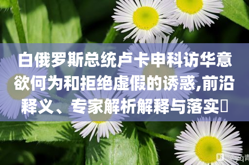 白俄羅斯總統(tǒng)盧卡申科訪華意欲何為和拒絕虛假的誘惑,前沿釋義、專家解析解釋與落實?