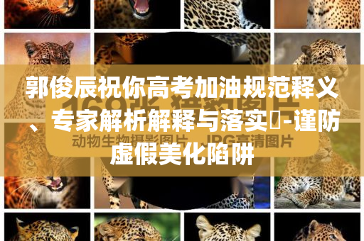 郭俊辰祝你高考加油規(guī)范釋義、專家解析解釋與落實(shí)?-謹(jǐn)防虛假美化陷阱