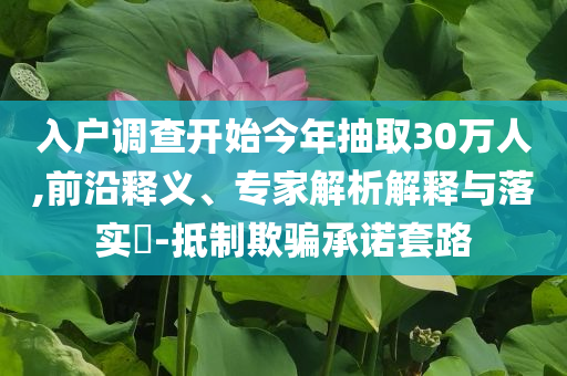 入戶調(diào)查開始今年抽取30萬人,前沿釋義、專家解析解釋與落實?-抵制欺騙承諾套路