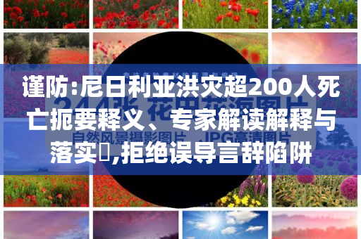 謹(jǐn)防:尼日利亞洪災(zāi)超200人死亡扼要釋義、專(zhuān)家解讀解釋與落實(shí)?,拒絕誤導(dǎo)言辭陷阱