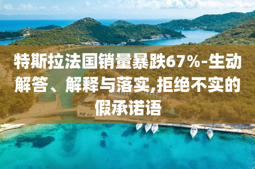 特斯拉法國銷量暴跌67%-生動解答、解釋與落實,拒絕不實的假承諾語