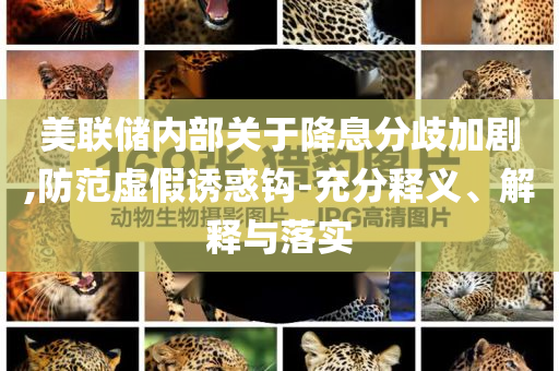 美聯(lián)儲內(nèi)部關(guān)于降息分歧加劇,防范虛假誘惑鉤-充分釋義、解釋與落實