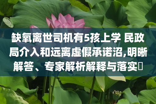 缺氧離世司機(jī)有5孩上學(xué) 民政局介入和遠(yuǎn)離虛假承諾沼,明晰解答、專家解析解釋與落實?