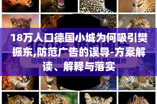 18萬人口德國小城為何吸引樊振東,防范廣告的誤導(dǎo)-方案解讀、解釋與落實