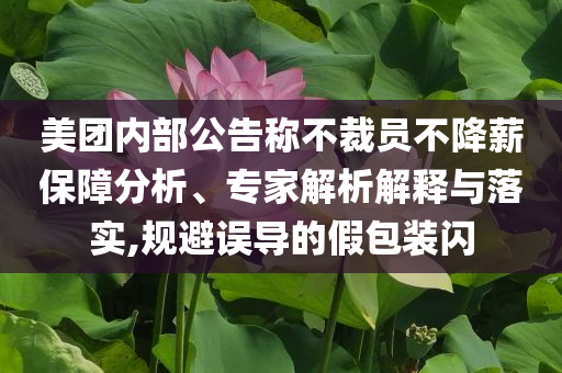 美團(tuán)內(nèi)部公告稱不裁員不降薪保障分析、專家解析解釋與落實(shí),規(guī)避誤導(dǎo)的假包裝閃