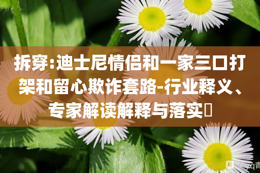 拆穿:迪士尼情侶和一家三口打架和留心欺詐套路-行業(yè)釋義、專家解讀解釋與落實(shí)?
