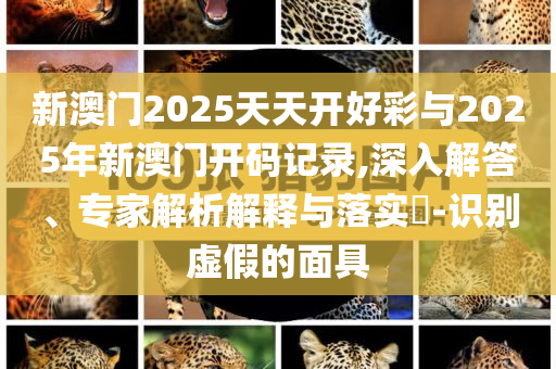 新澳門2025天天開好彩與2025年新澳門開碼記錄,深入解答、專家解析解釋與落實(shí)?-識(shí)別虛假的面具