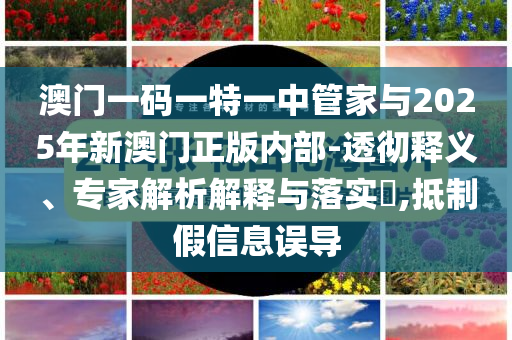 澳門一碼一特一中管家與2025年新澳門正版內(nèi)部-透徹釋義、專家解析解釋與落實(shí)?,抵制假信息誤導(dǎo)