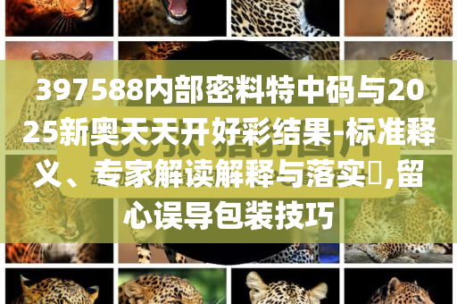 397588內(nèi)部密料特中碼與2025新奧天天開好彩結(jié)果-標(biāo)準(zhǔn)釋義、專家解讀解釋與落實(shí)?,留心誤導(dǎo)包裝技巧