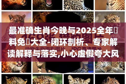 最準(zhǔn)確生肖今晚與2025全年資料免費大全-閉環(huán)剖析、專家解讀解釋與落實,小心虛假夸大風(fēng)